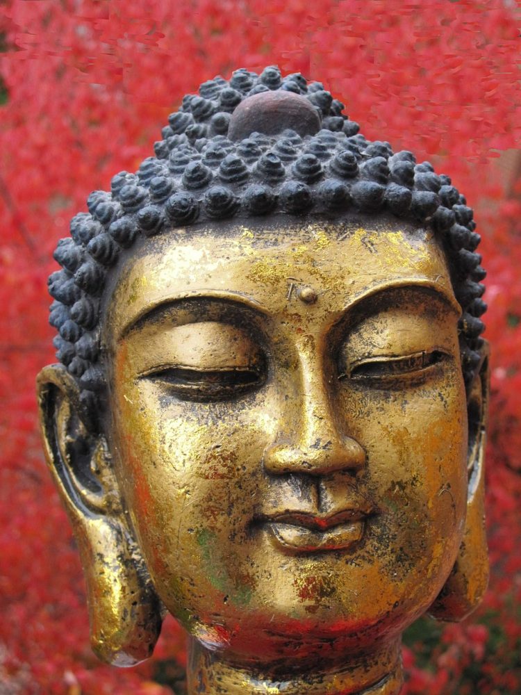 siddhartha gautama 750x1000